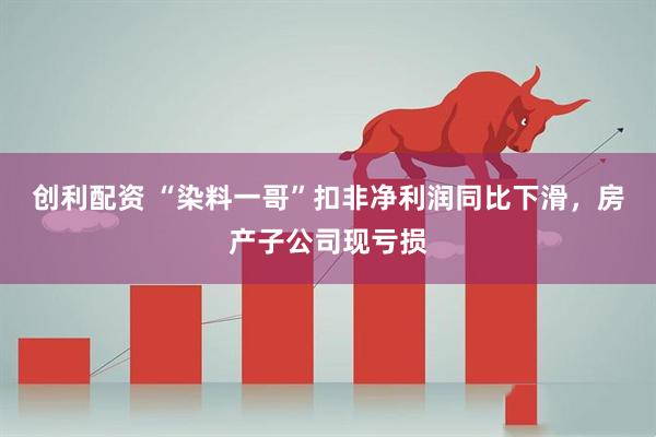 创利配资 “染料一哥”扣非净利润同比下滑，房产子公司现亏损