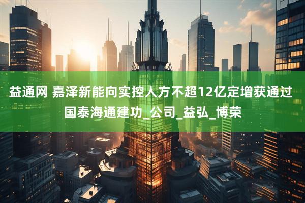益通网 嘉泽新能向实控人方不超12亿定增获通过 国泰海通建功_公司_益弘_博荣