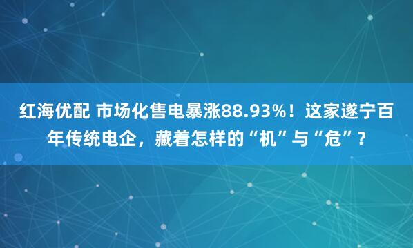 红海优配 市场化售电暴涨88.93%！这家遂宁百年传统电企，藏着怎样的“机”与“危”？
