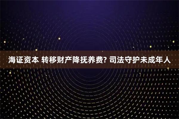 海证资本 转移财产降抚养费? 司法守护未成年人