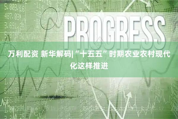 万利配资 新华解码|“十五五”时期农业农村现代化这样推进