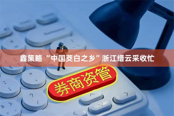 鑫策略 “中国茭白之乡”浙江缙云采收忙