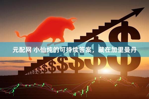 元配网 小仙炖的可持续答案，藏在加里曼丹