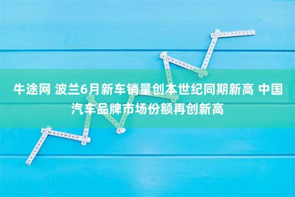 牛途网 波兰6月新车销量创本世纪同期新高 中国汽车品牌市场份额再创新高