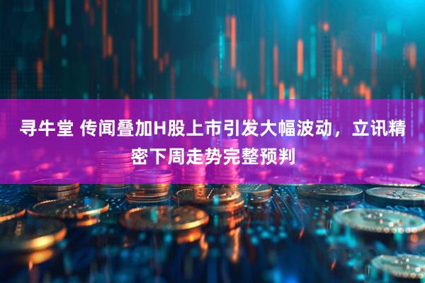 寻牛堂 传闻叠加H股上市引发大幅波动，立讯精密下周走势完整预判